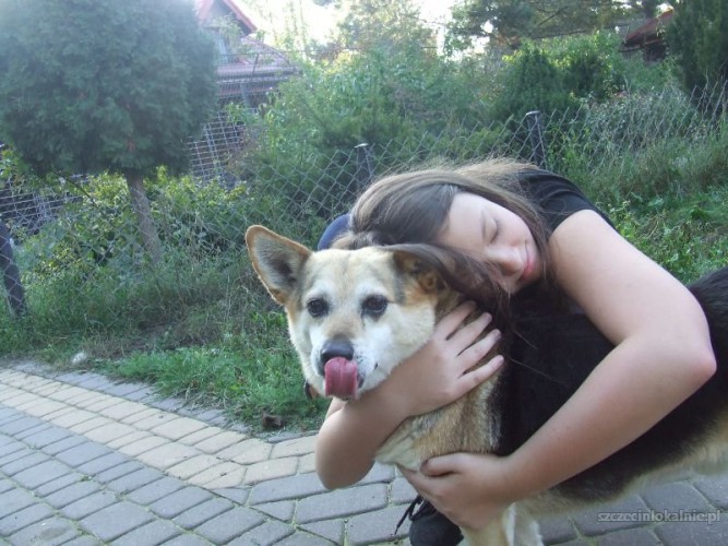 rex-niewielki-lagodny-psiak-szuka-pilnie-ds-lub-dt-51349-psy.jpg