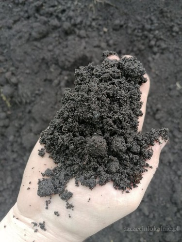 Czarnoziem, czarna ziemia pod trawnik - dostawa od 20 ton