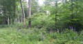 pisanie prac biologia, zootechnika, rolnictwo, leśnictwo, nauki medyczne pisanie prac biologia, zootechnika, rolnictwo, leśnictwo, nauki medyczne