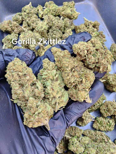 Weed Gorilla Zkittlez premium 24 %