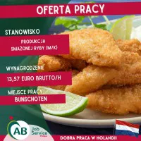 PRACA PRZY PRODUKCJI WĘDZONEJ RYBY (M/K)