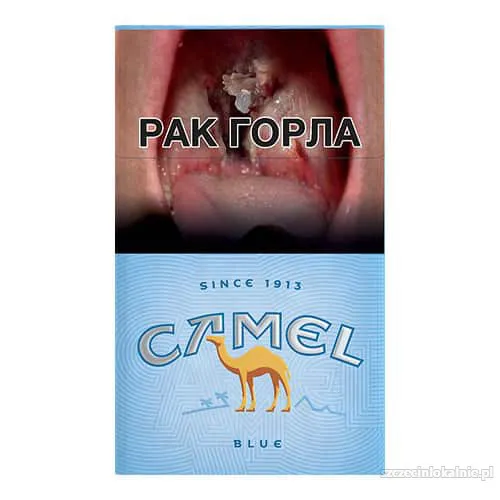 papierosy-camel-sklep-z-papierosami-papierosekcom-59575-sprzedam.webp
