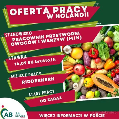 PRACOWNIK PRODUKCJI W PRZETWÓRNI WARZYW I OWOCÓW W HOLANDII (M/K)
