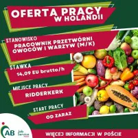 PRACOWNIK PRODUKCJI W PRZETWÓRNI WARZYW I OWOCÓW W HOLANDII (M/K) PRACOWNIK PRODUKCJI W PRZETWÓRNI WARZYW I OWOCÓW W HOLANDII (M/K)