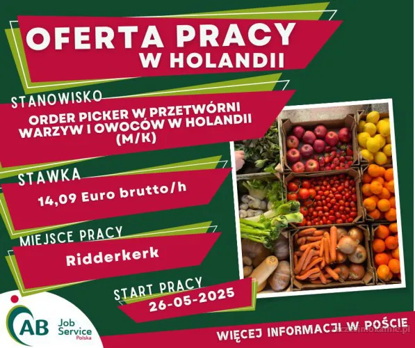 ORDER PICKER W PRZETWÓRNI WARZYW I OWOCÓW W HOLANDII (M/K)