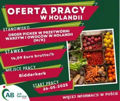 ORDER PICKER W PRZETWÓRNI WARZYW I OWOCÓW W HOLANDII (M/K)