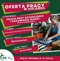 Praca w Holandii na wakacje - Czyszczenie i pakowanie śledzi (M/K) Praca w Holandii na wakacje - Czyszczenie i pakowanie śledzi (M/K)