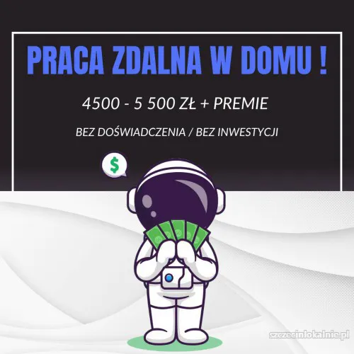 Praca zdalna w Domu przy Komputerze - 4500-5500 zł + PREMIE!